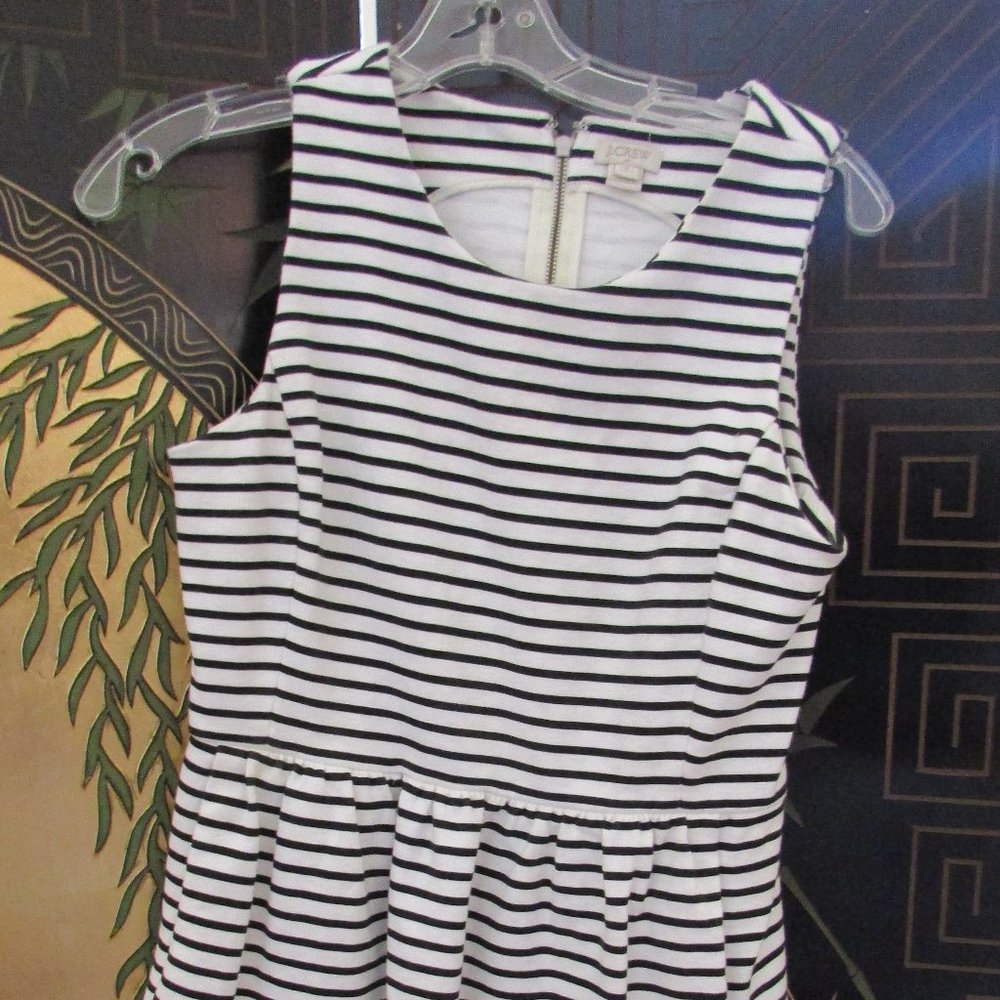 J. Crew Dress